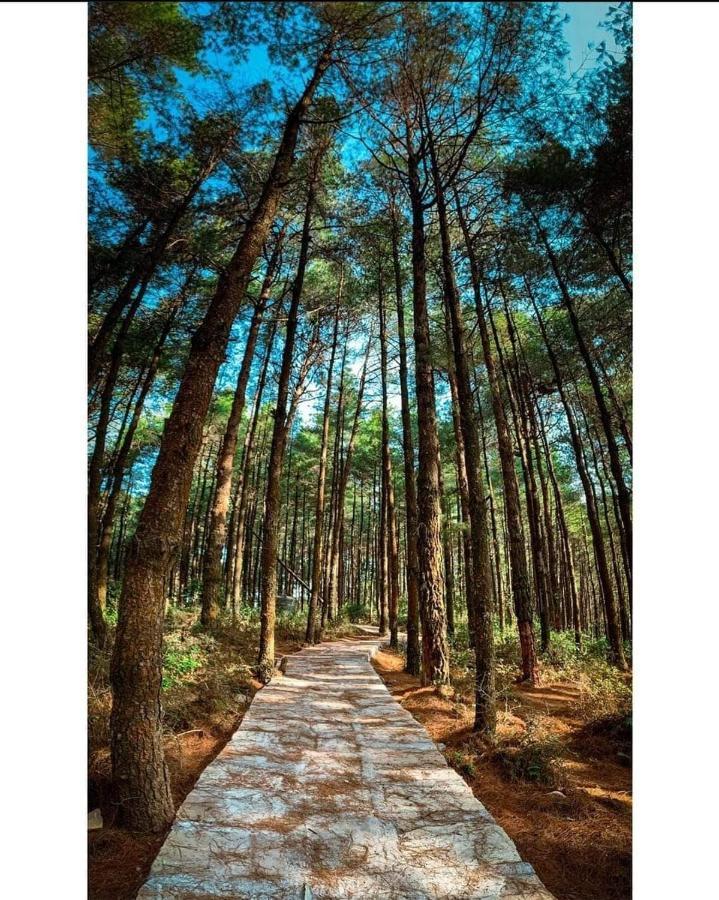 Bojinee Nagarkot Resort Нагаркот Экстерьер фото
